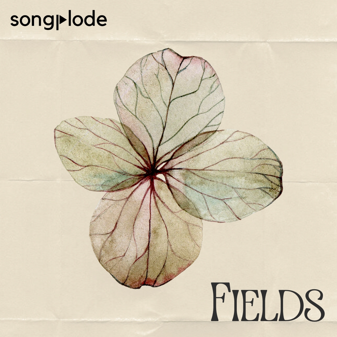 Fields [ new folk ] | Wednesday Weekly Feature Update - Press Image