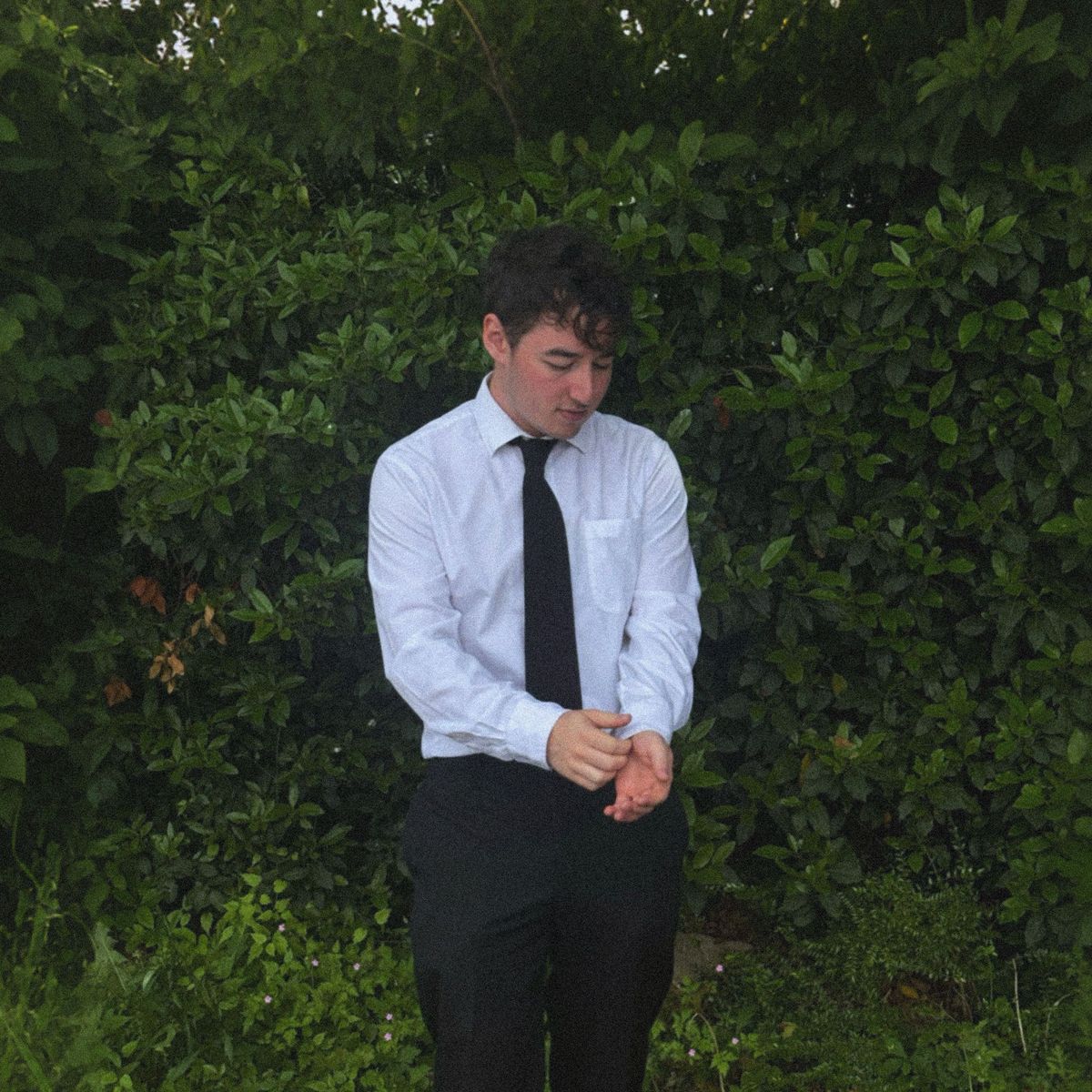 Tyler Shea Turns Dating Anxiety Into a Bright Pop Confessional on “HOLLY”