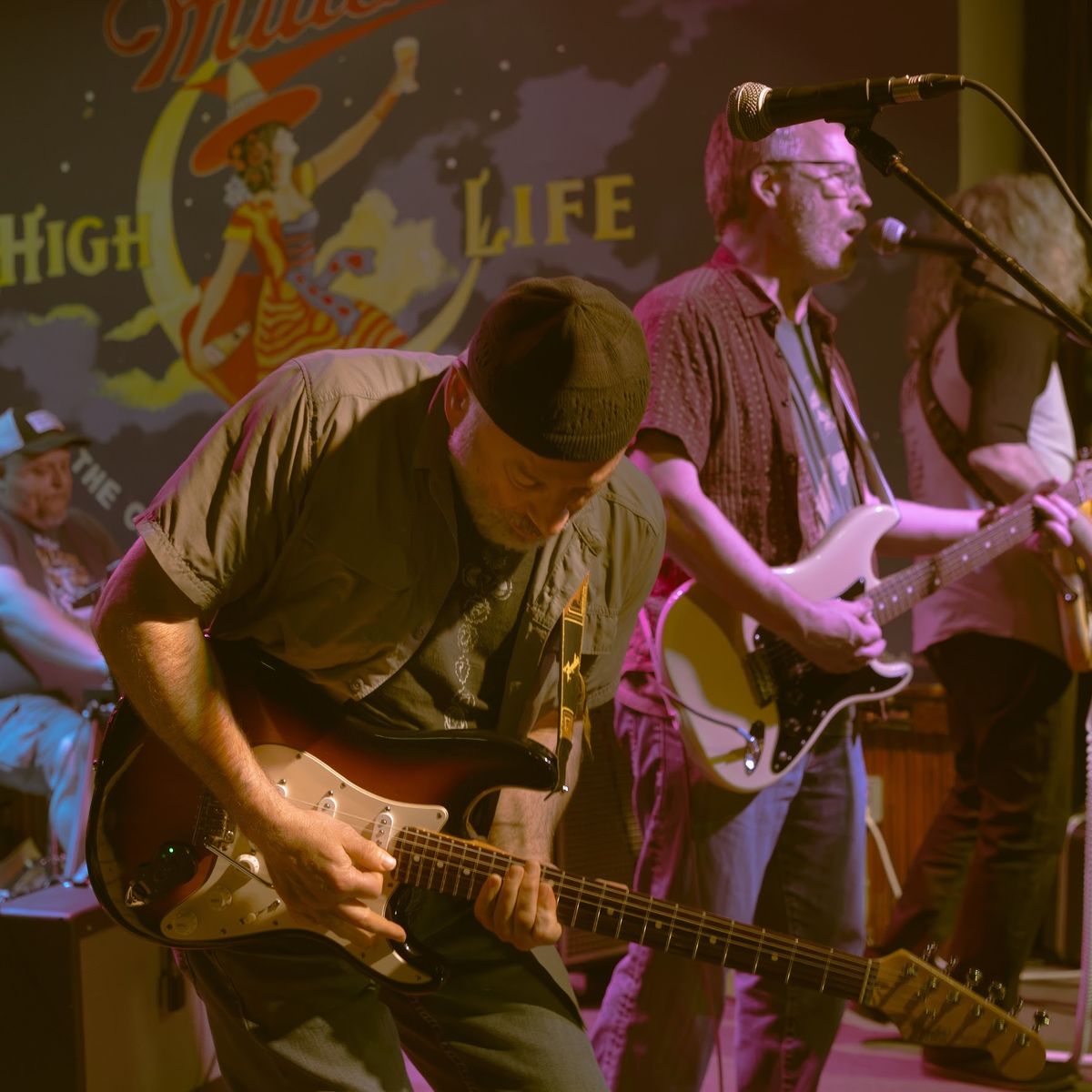 Chameleous Find Their Shape on the Expansive Wicked Din