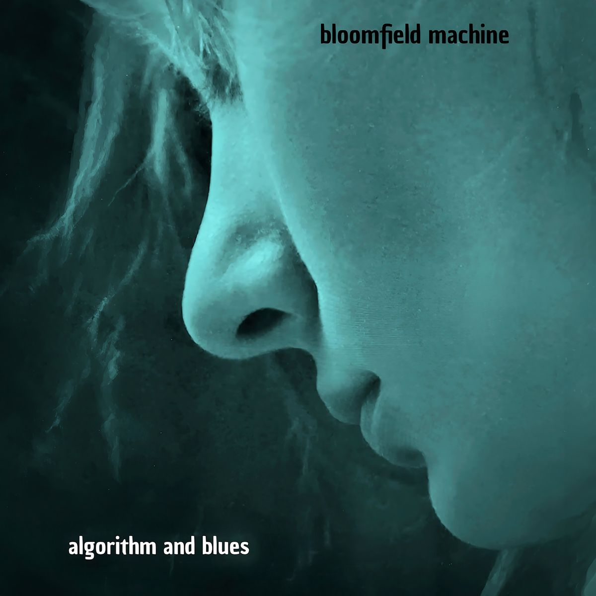 Bloomfield Machine Finds Humanity in the Circuitry of algorithm & blues