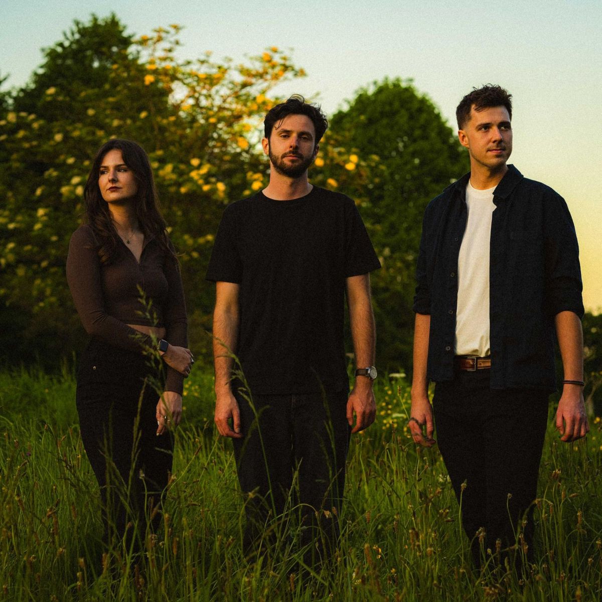 IMBER Turn Inner Conflict Into Motion on “Pacify”
