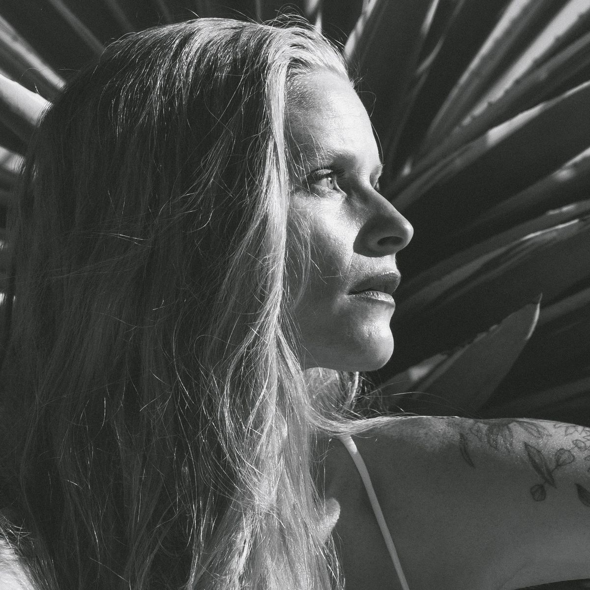 Tara Van Reaches Higher on Soul-Soaked Single “I’m A Vine”